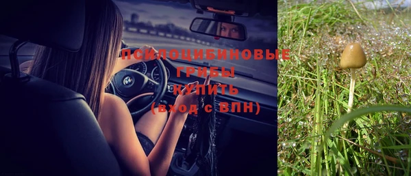 прущие грибы Белоозёрский