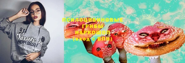прущие грибы Белоозёрский