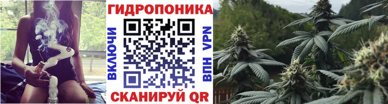 Каннабис гибрид Макаров